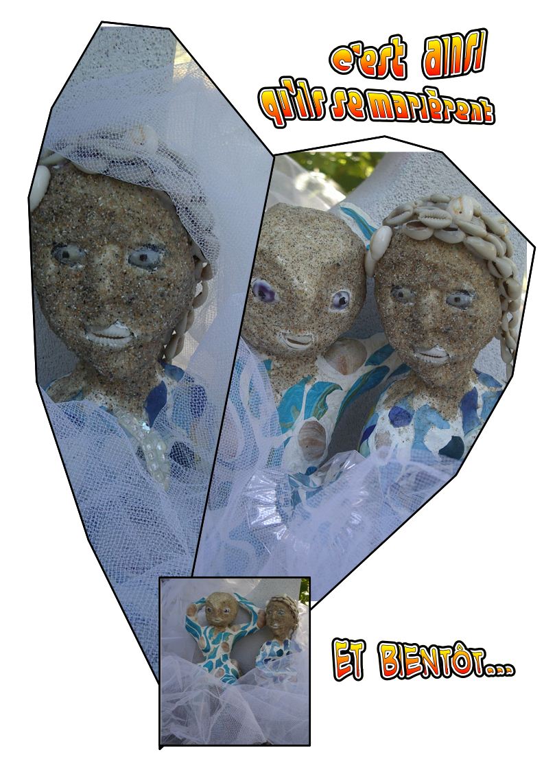 naissance Crépidule 5