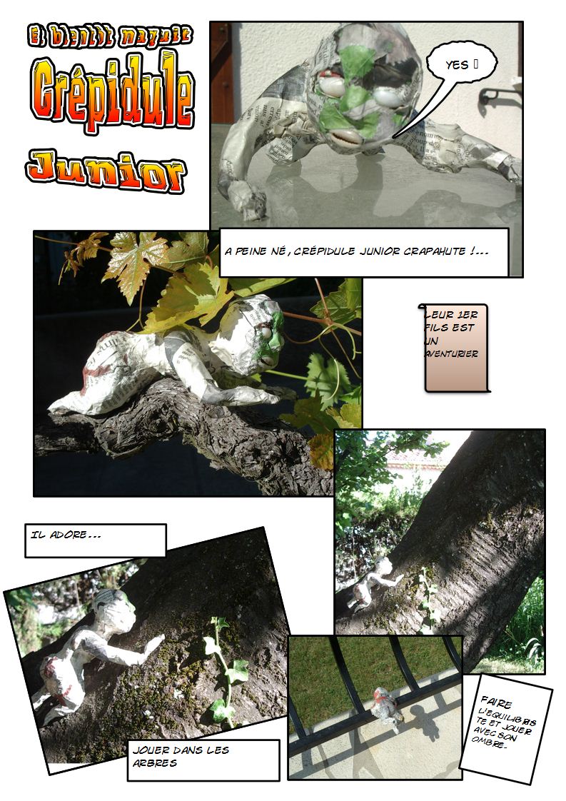 naissance crépidule 6