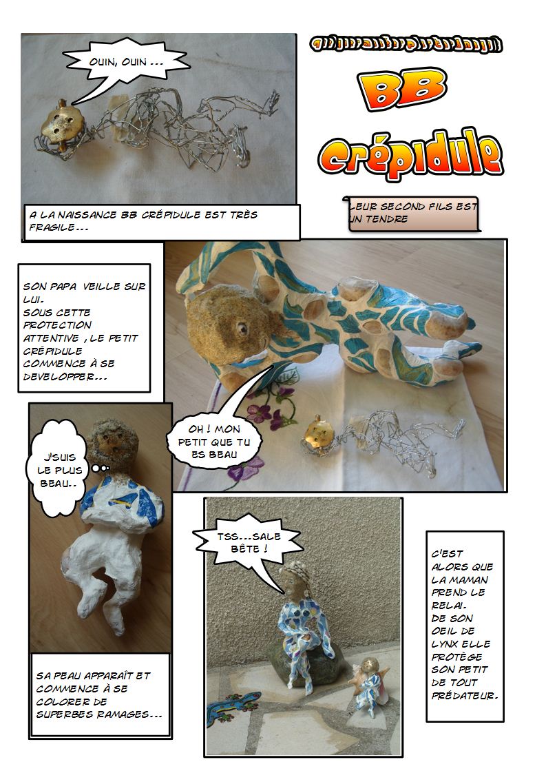 naissance crépidule 7