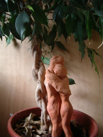 jardin d`Eden