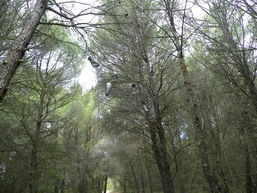 installation sur sentier