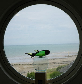 poisson de verre