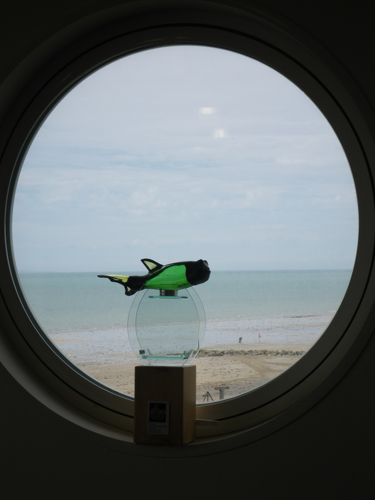 poisson devant hublot