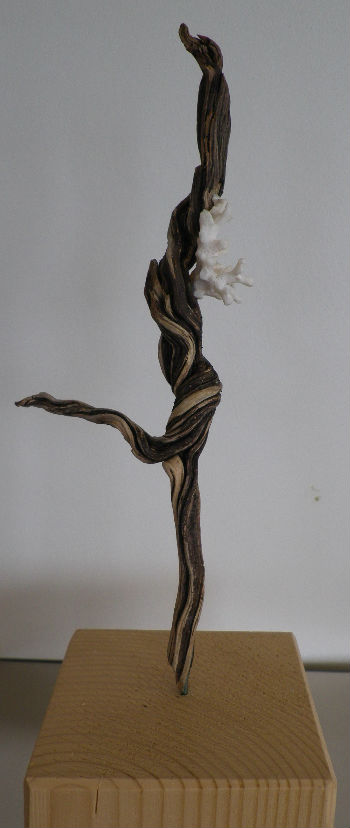 la racine qui danse